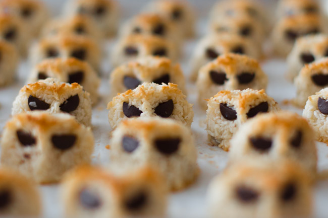 baked chocolate chip coconut macaroon owls