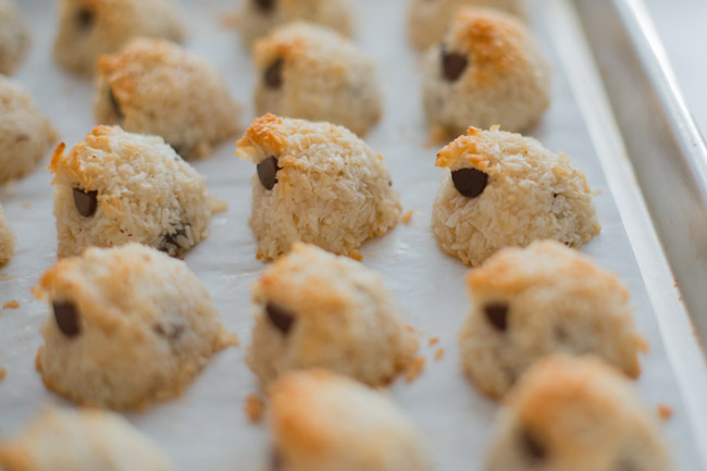 baked chocolate chip coconut macaroon owls